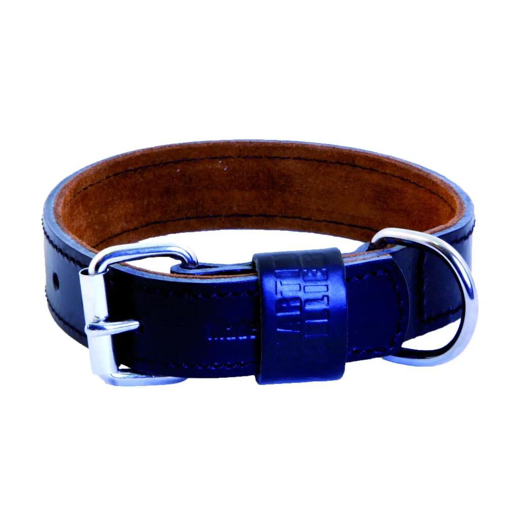 Dog collar Martin Sellier