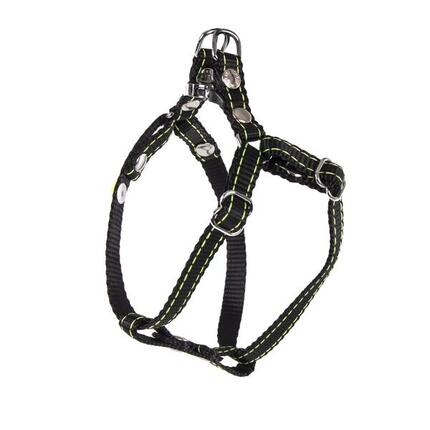 Harnais pour chien Martin Sellier Biker