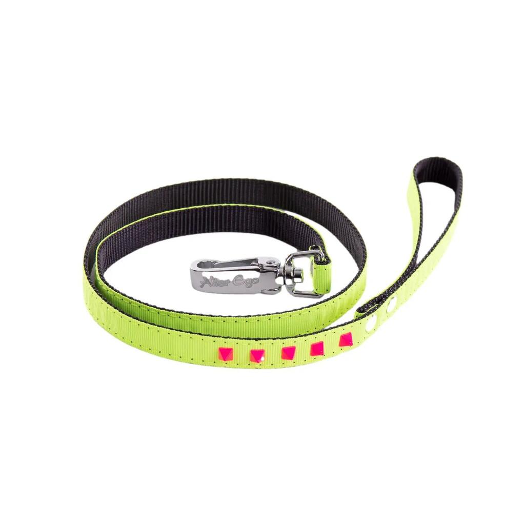 Dog leash Martin Sellier Fluo