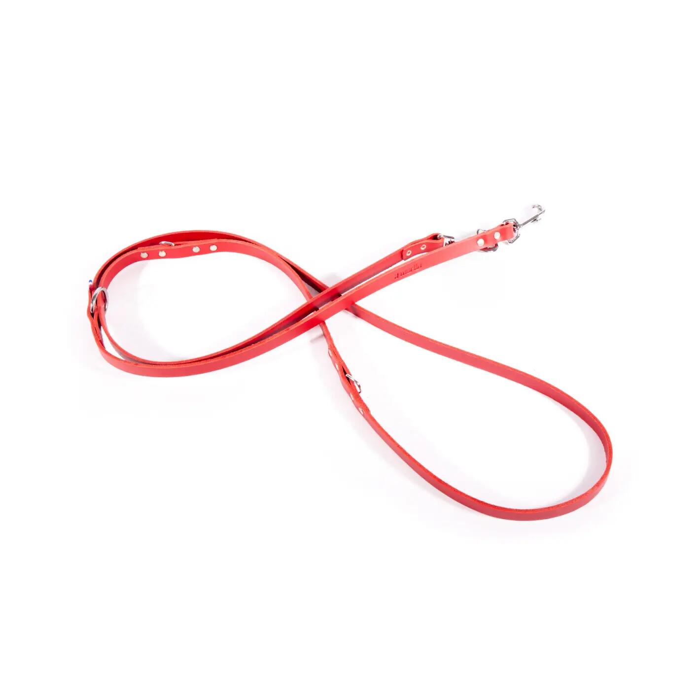Laisse pour chien en cuir Martin Sellier Bico 499 1/1