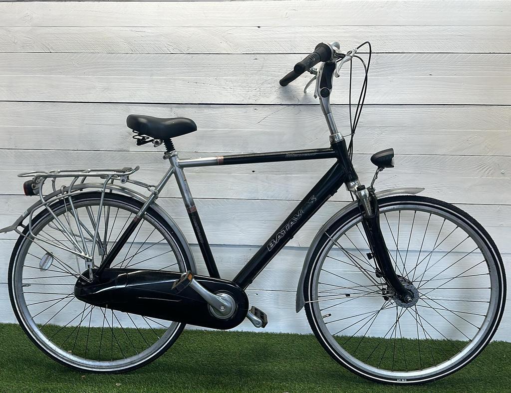 BATAVUS picture