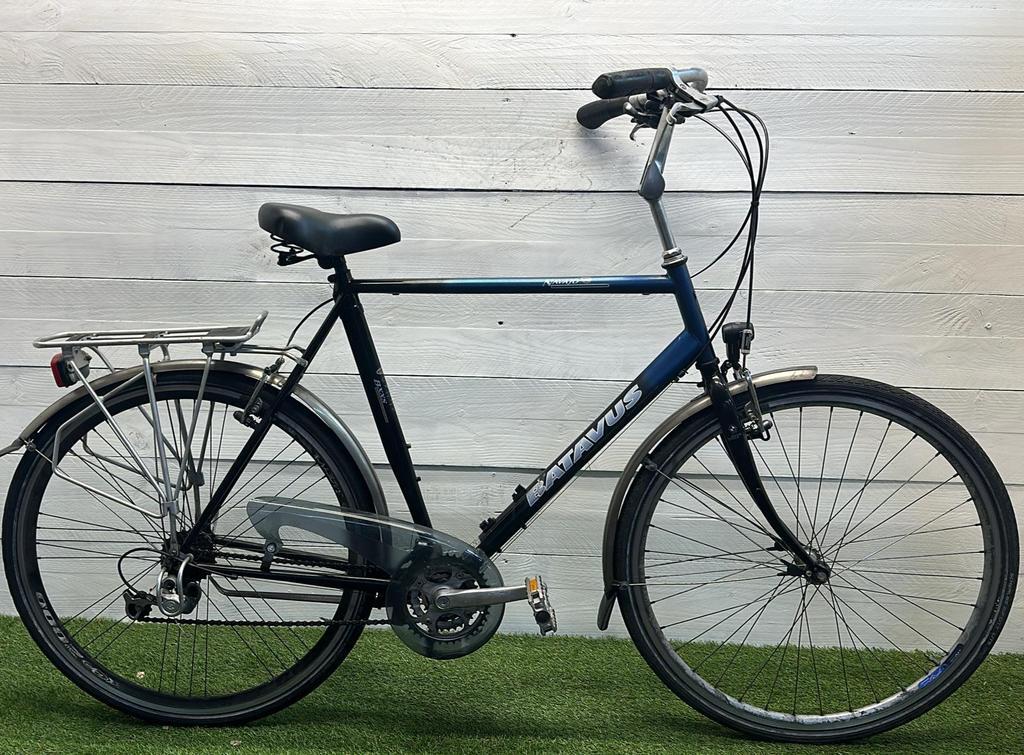 BATAVUS picture