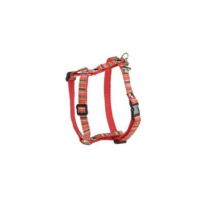Harnais pour chien Arka Haok