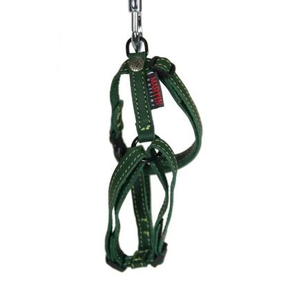 Harnais pour chien cuir vachette Martin Sellier Reg Nature