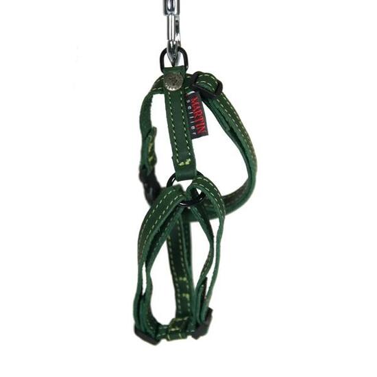 Harnais pour chien cuir vachette Martin Sellier Reg Nature