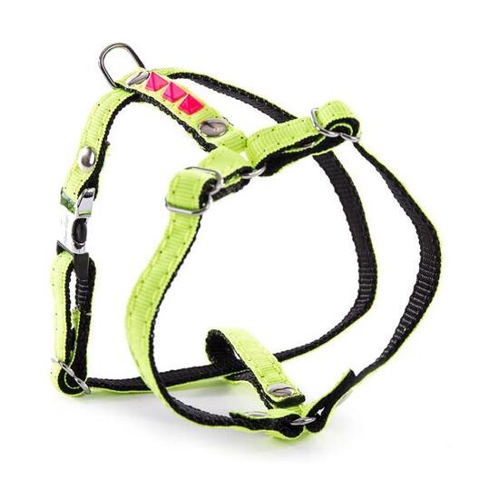 Harnais pour chien Martin Sellier