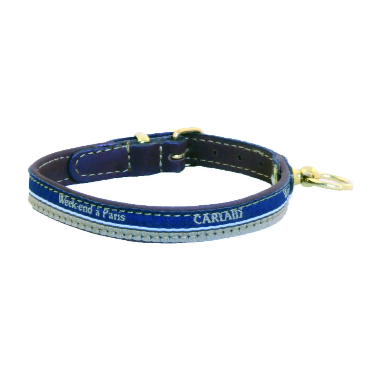 Collier pour chien Martin Sellier Galon 1/1