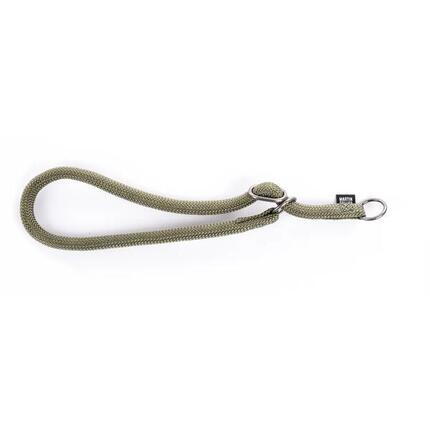 Collier pour chien Martin Sellier Educ