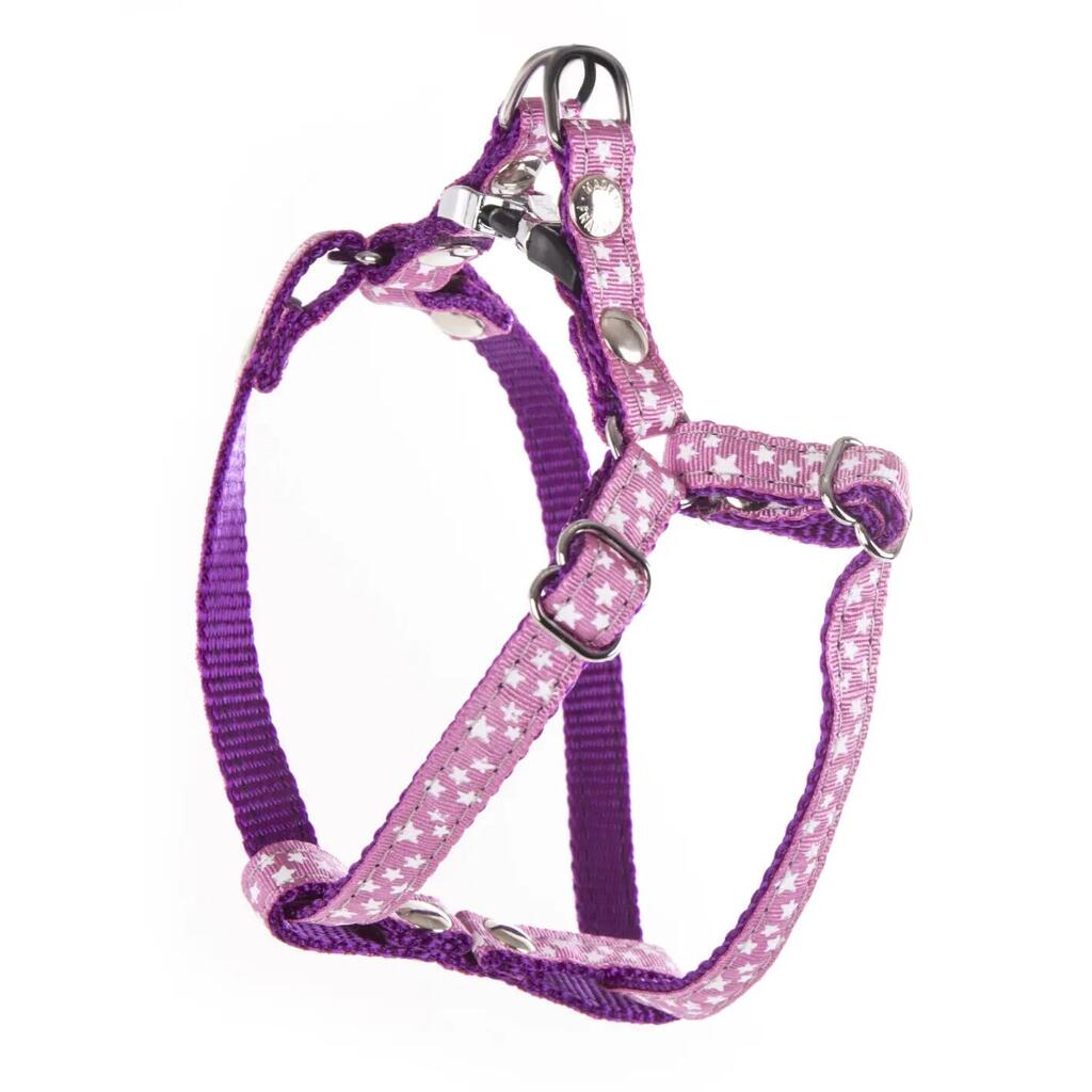Dog harness Martin Sellier Etoiles