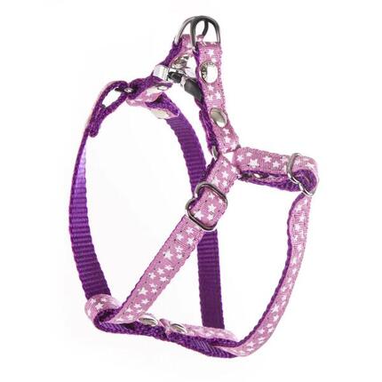 Harnais pour chien Martin Sellier Etoiles