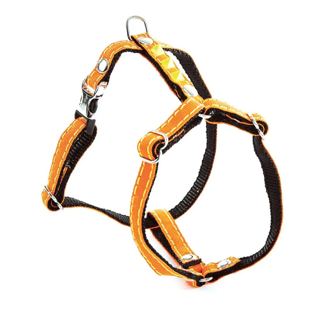 Dog harness Martin Sellier
