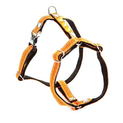 Harnais pour chien Martin Sellier