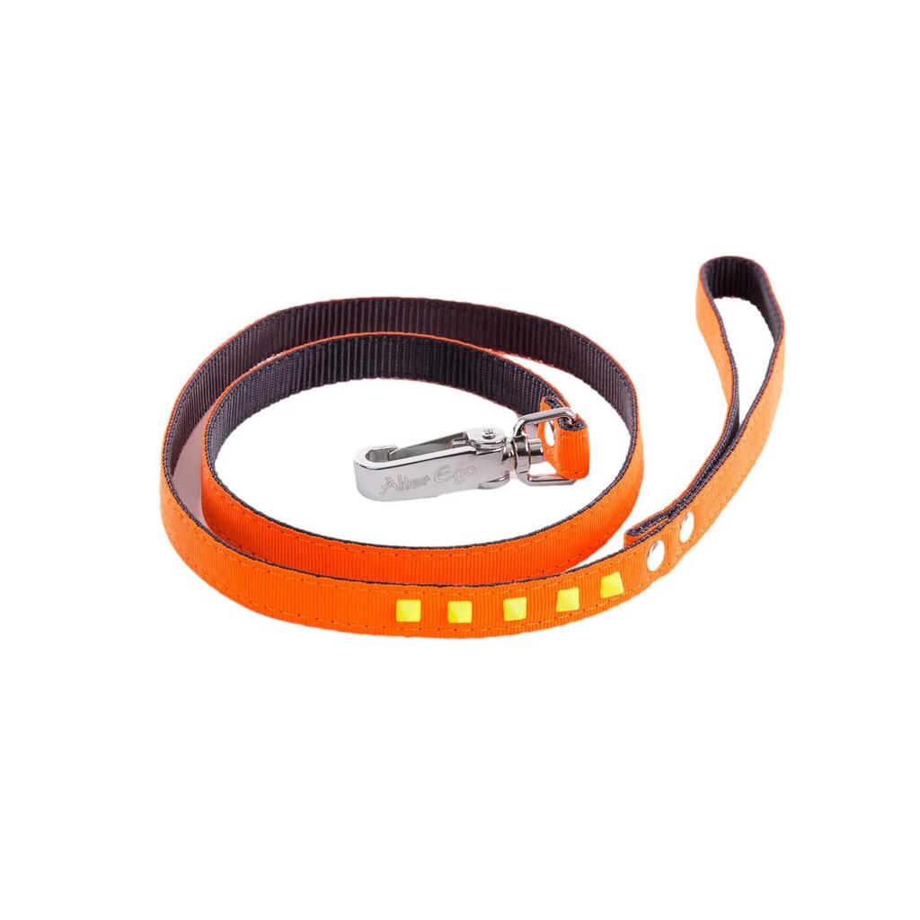 Dog leash Martin Sellier Fluo