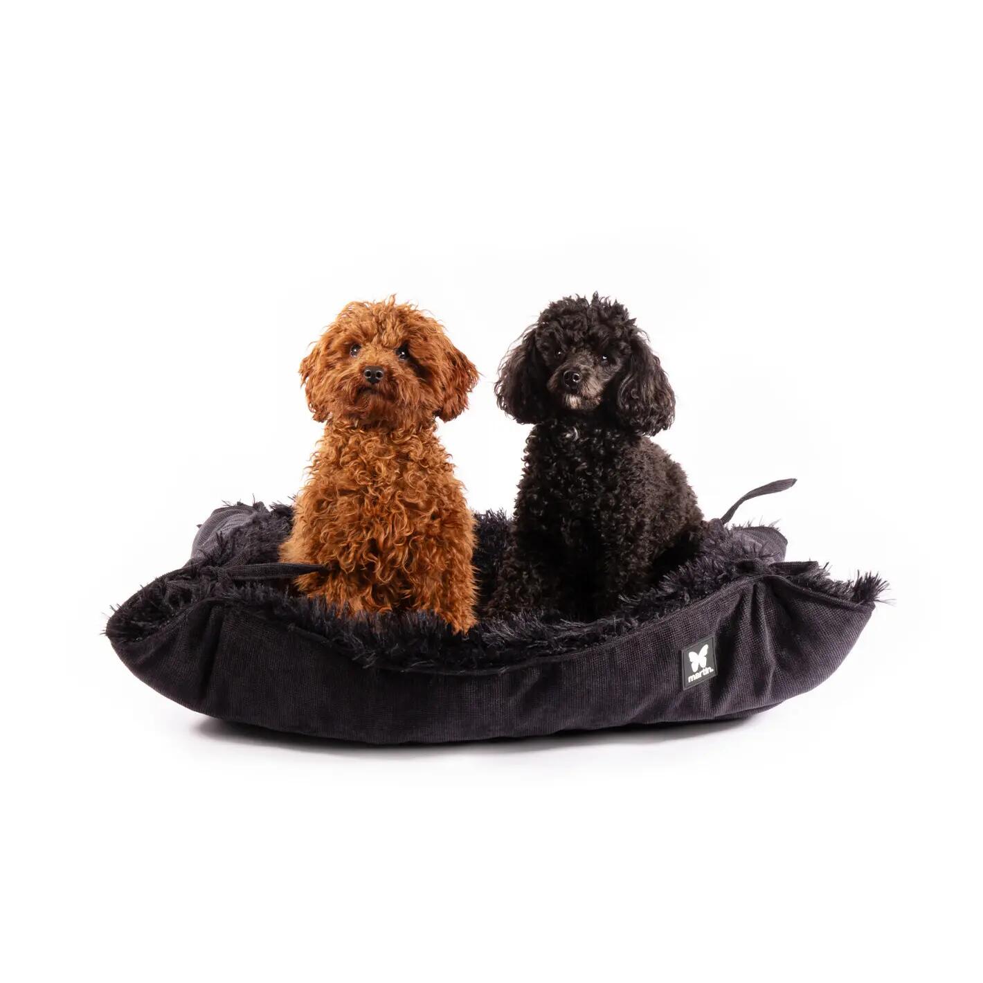 Coussin pour chien Martin Sellier Toudoudou 2/3