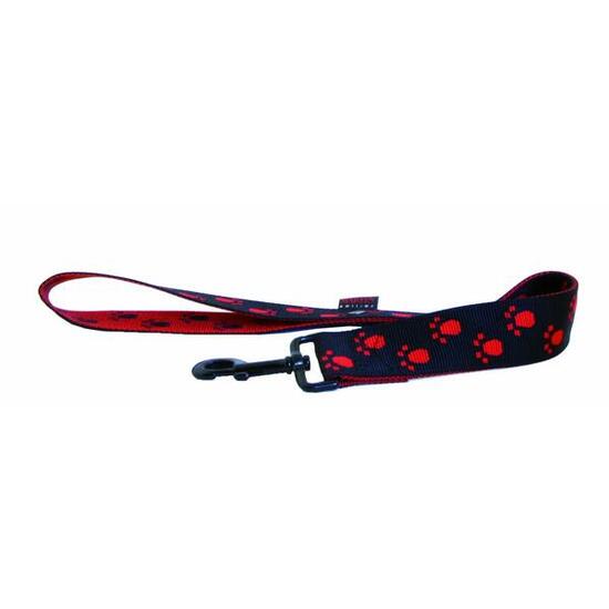 Laisse pour chien double Martin Sellier Patte