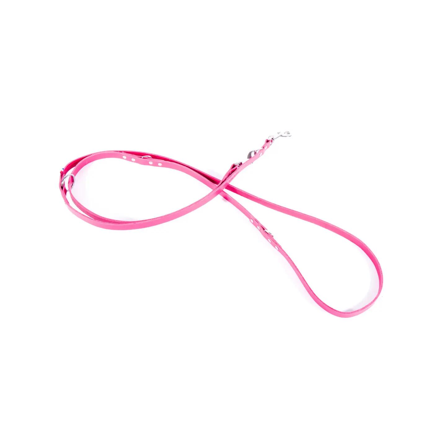 Laisse pour chien en cuir Martin Sellier Bico 499 1/1