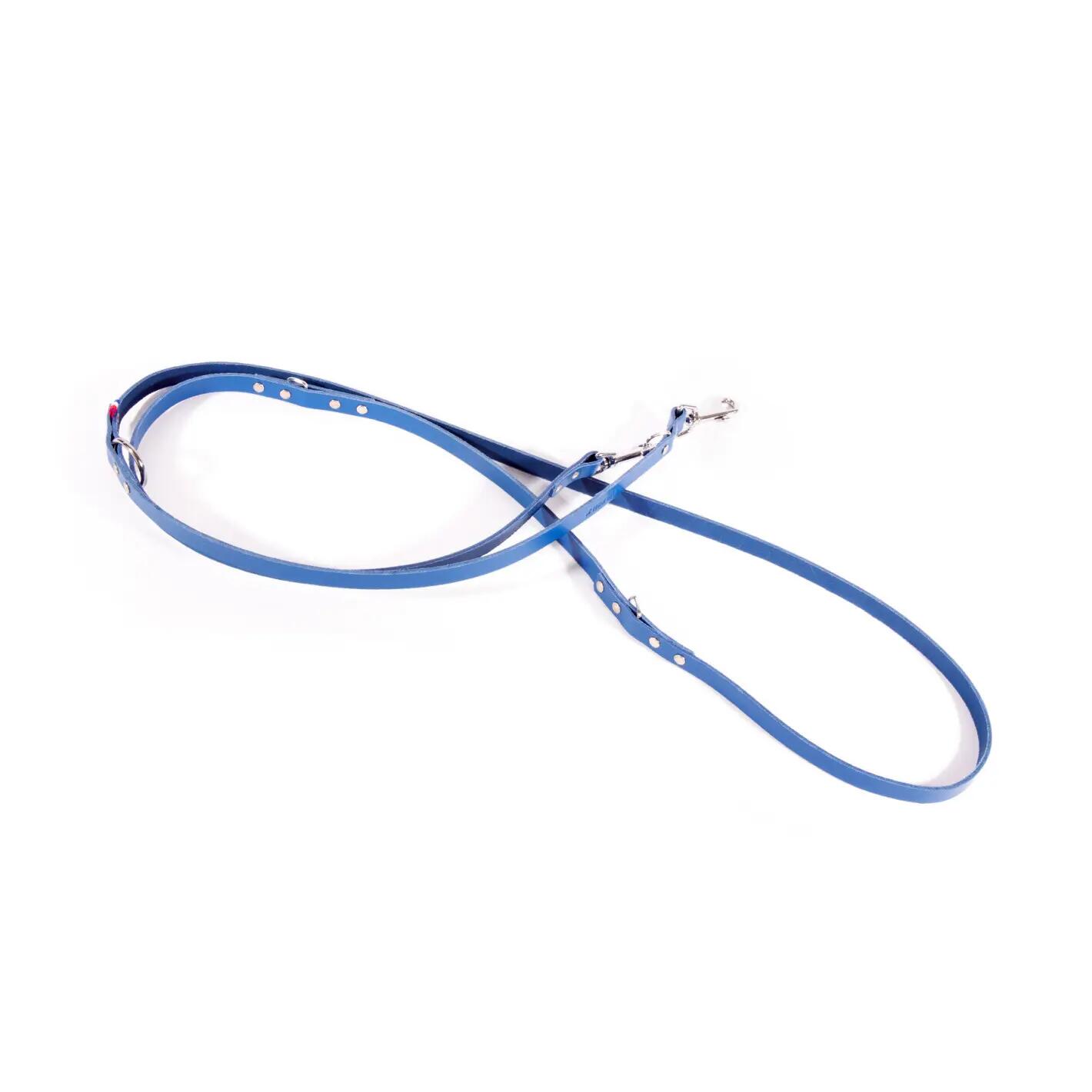 Laisse pour chien en cuir Martin Sellier Bico 499 1/1