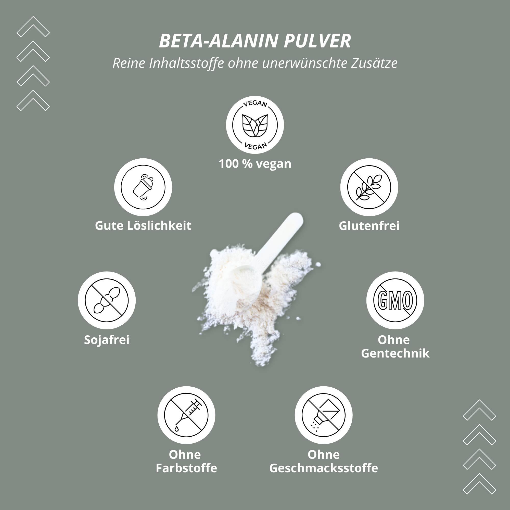 Beta-Alanin Pulver 1 kg 3/5