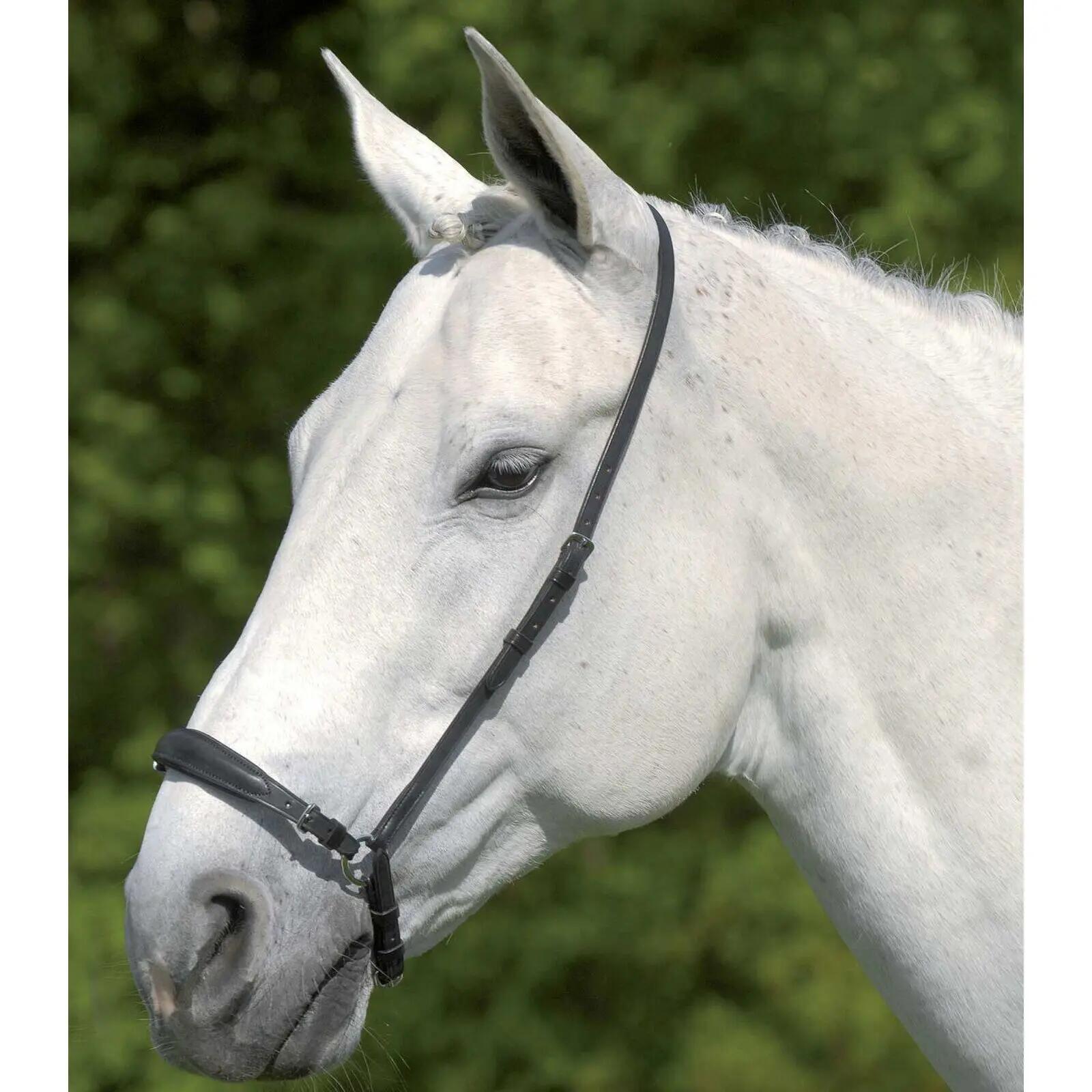 Bocca per cavallo tedesco regolabile Waldhausen S-Line 2/2