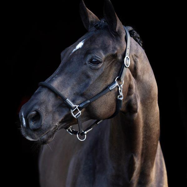 Licol Franka - HV Polo 2/5