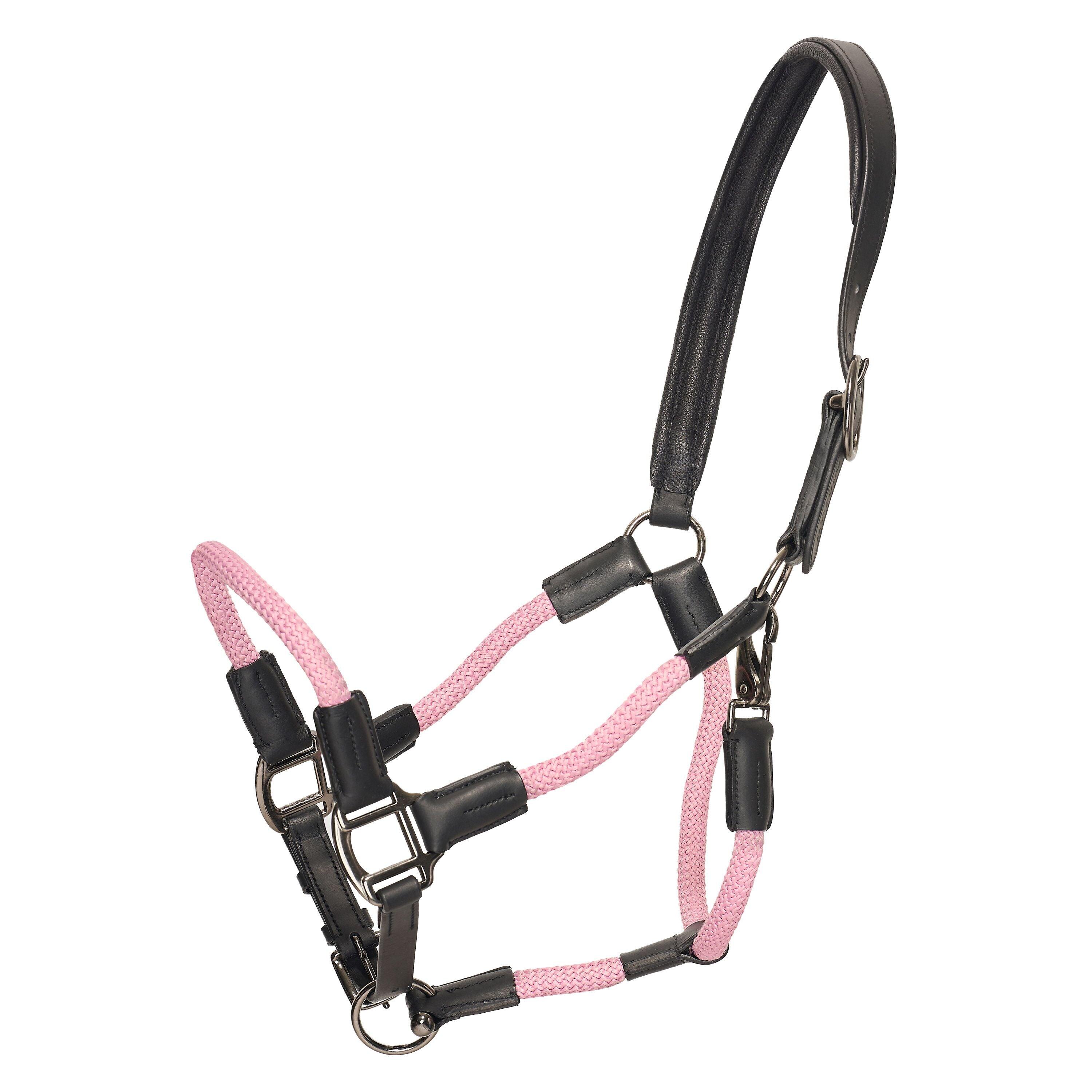 Licol Franka - HV Polo 4/5