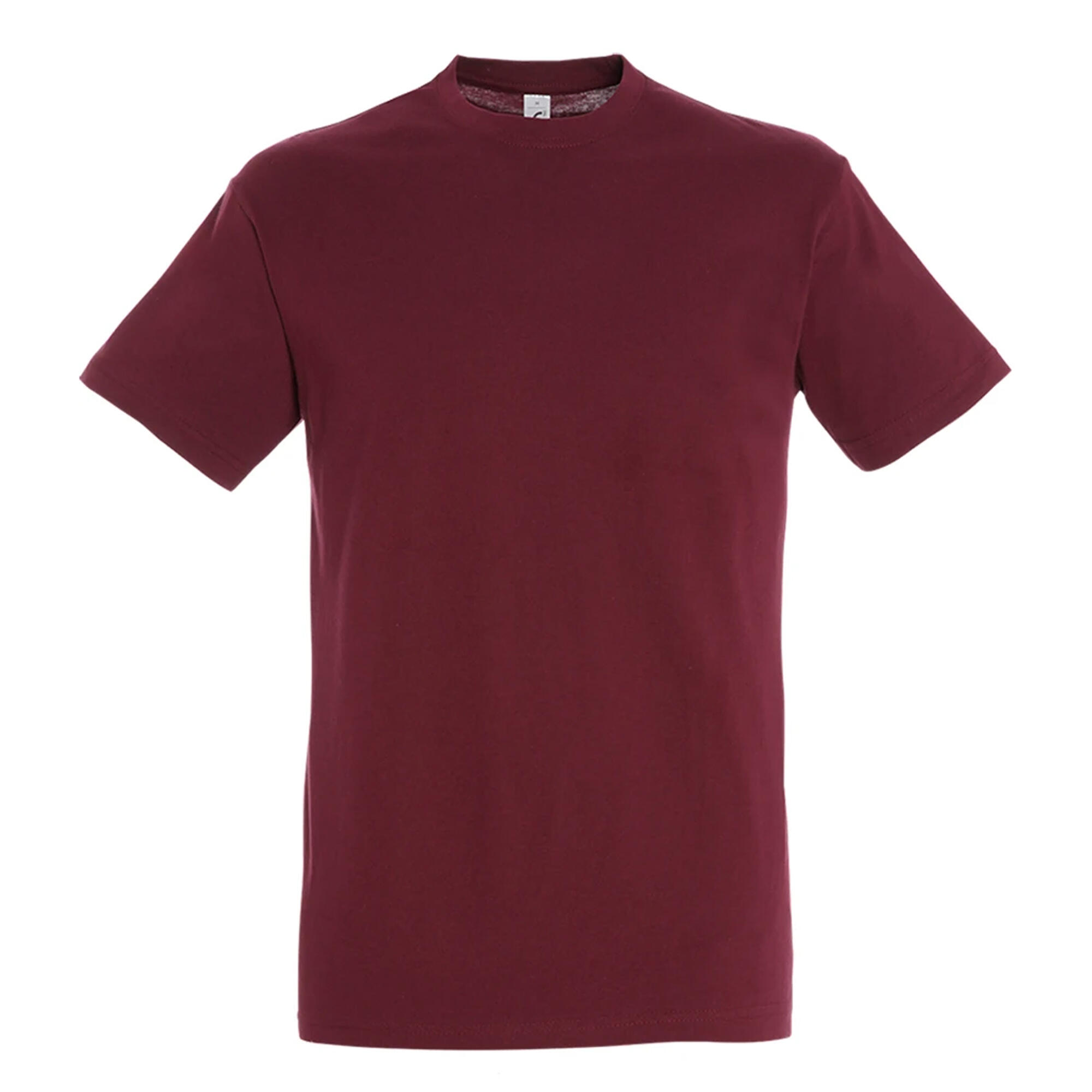 SOLS Mens Regent Short Sleeve T-Shirt
