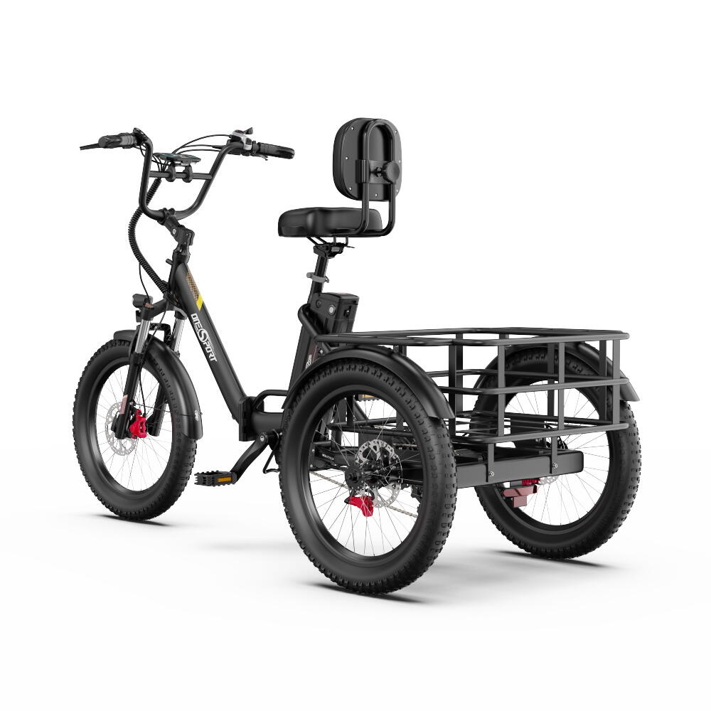 ONESPORT OT30 PRO Triciclo de carga, 48V 18Ah, 20 polegadas, todo terreno, 180kg 3/13