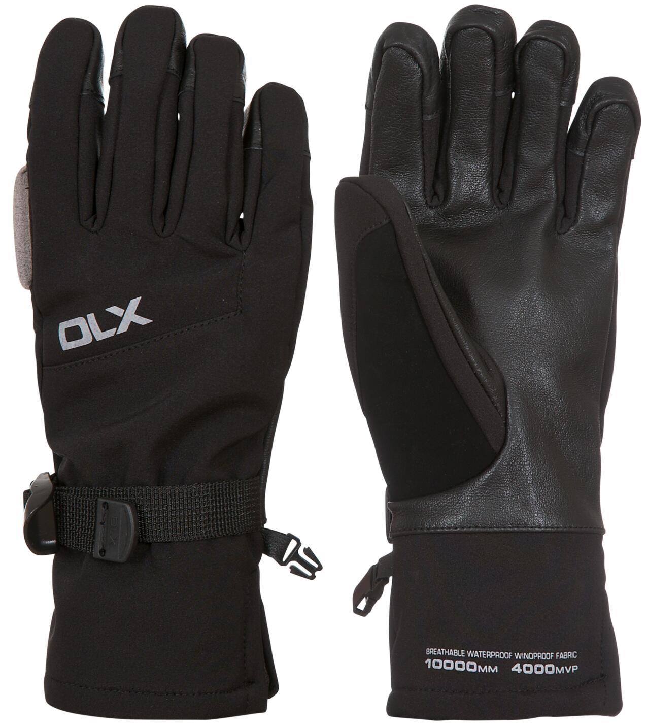 DLX picture