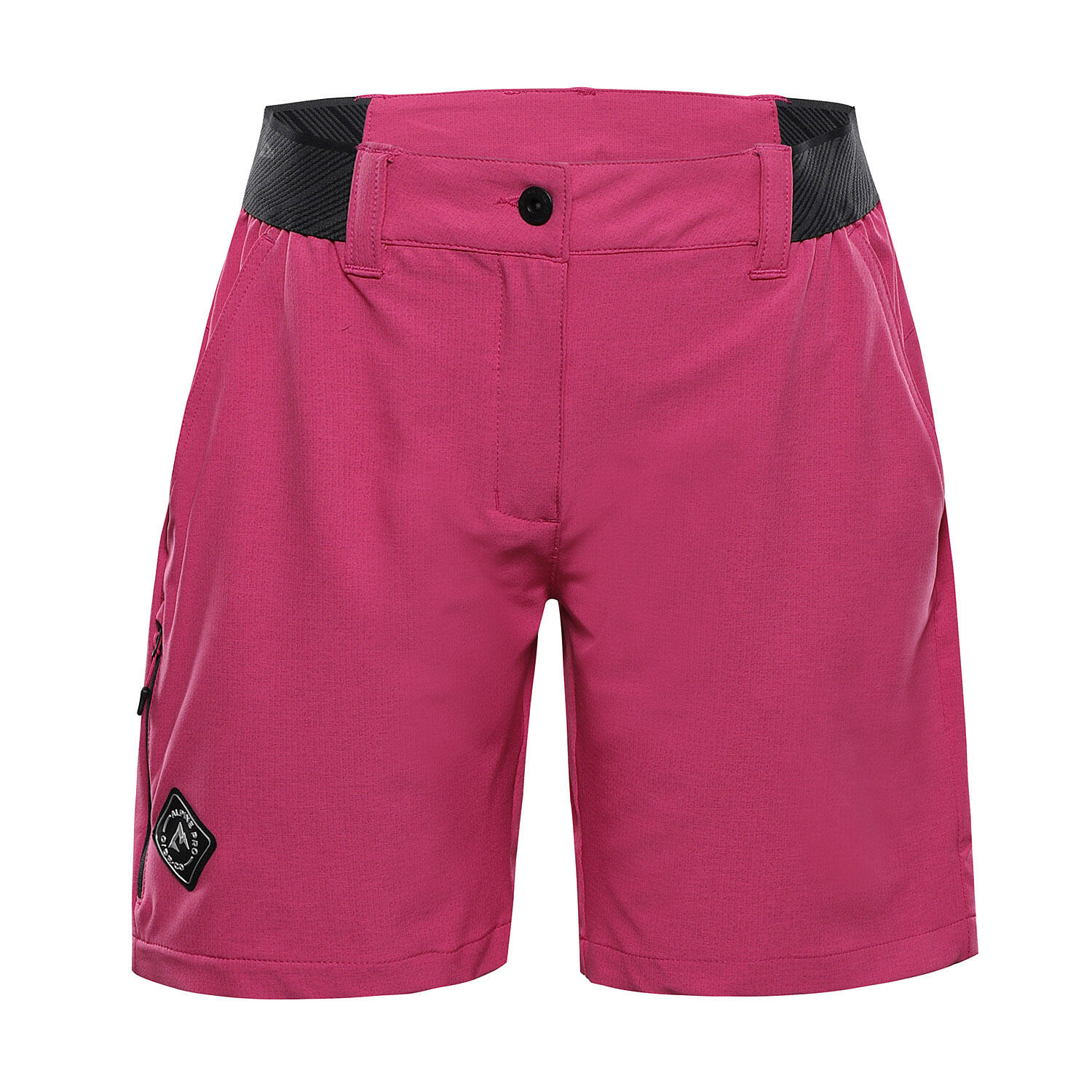 ALPINE PRO picture