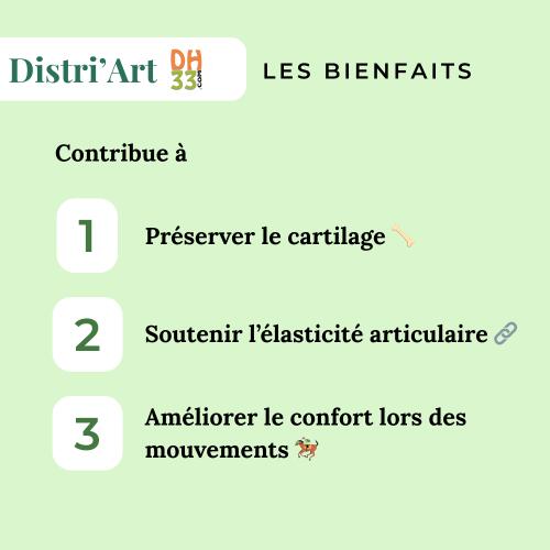 Distri'Art - Arthrose cheval 4/4