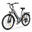 Bicicletă electrică de oraș ESKUTE C202, motor de 250W, baterie de 48V 17.5Ah