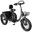 ESKUTE T302 PRO Bicicletă electrică cargo 20" Motor 250W Baterie 48V 20.8Ah