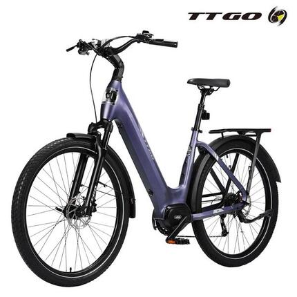 E-Bike lage instap Z5 130km elektrische fiets uniseks grijs
