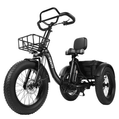 T302 pro elektrische driewieler voor volwassenen, 48v20.8ah accu, 20×4.0" banden