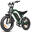Bicicletă electrică off-road ESKUTE V202, baterie de 48V 20.8Ah