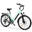 ESKUTE C202 Bicicletă electrică step-thru 26" Baterie 48V 17.5Ah