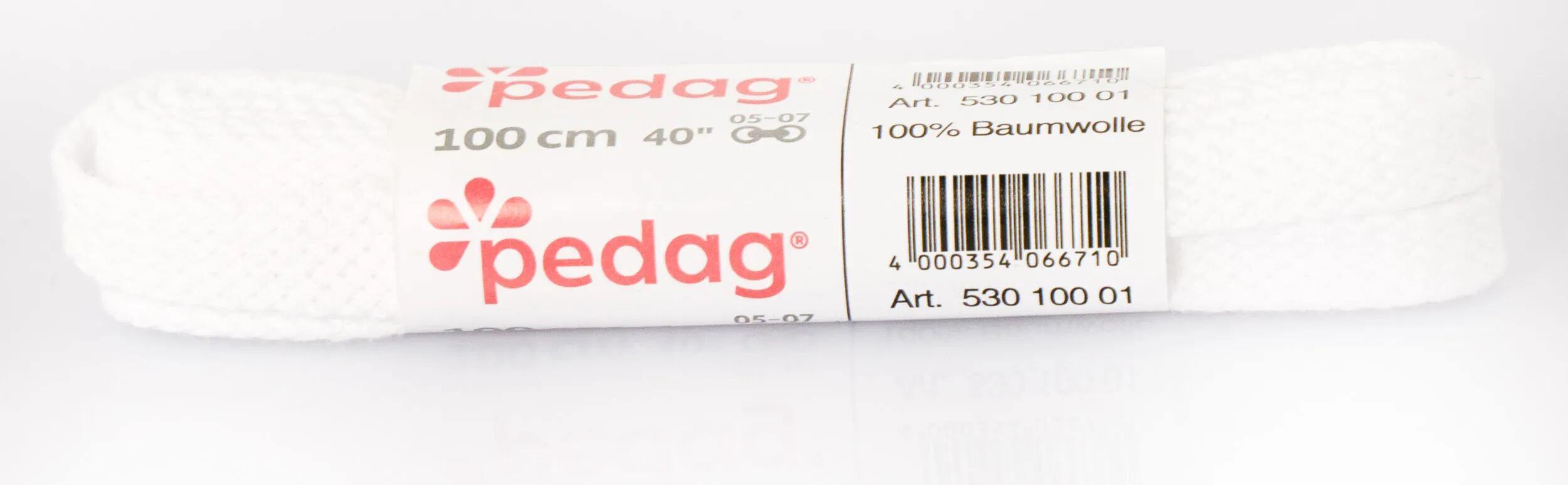 PEDAG picture