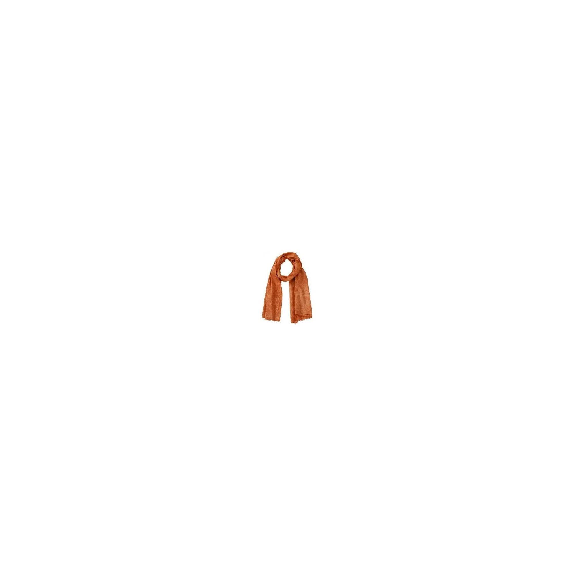 e71f9ea9-2f01-453b-bfc9-eb538ed6e16e_c1c1