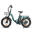 Bicicletă electrică ESKUTE D202 cu coș frontal, baterie de 48V 20.8Ah