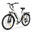 Bicicletă electrică de oraș ESKUTE C202, motor de 250W, baterie de 48V 17.5Ah