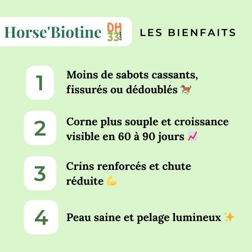 Distri Biotine Liquide 1L - Source de  Biotine Cheval 4/4