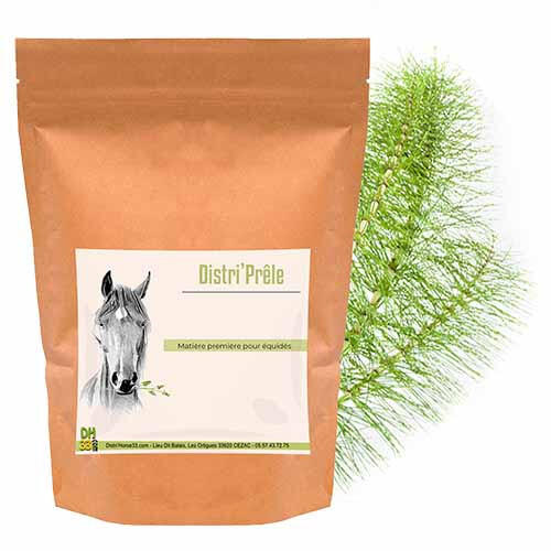 DISTRI'HORSE33 picture