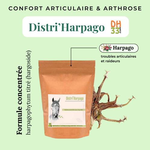 Harpago Cheval - Arthrose cheval 3/4