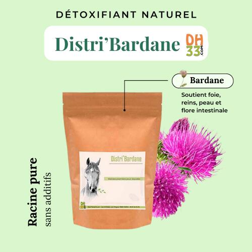 Bardane Cheval - Détoxifiant naturel 3/4