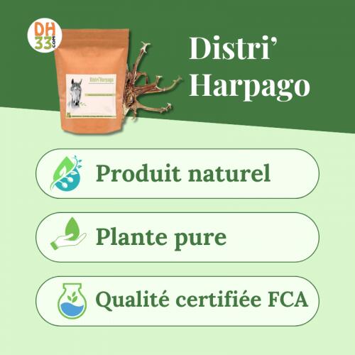 Harpago Cheval - Arthrose cheval 2/4