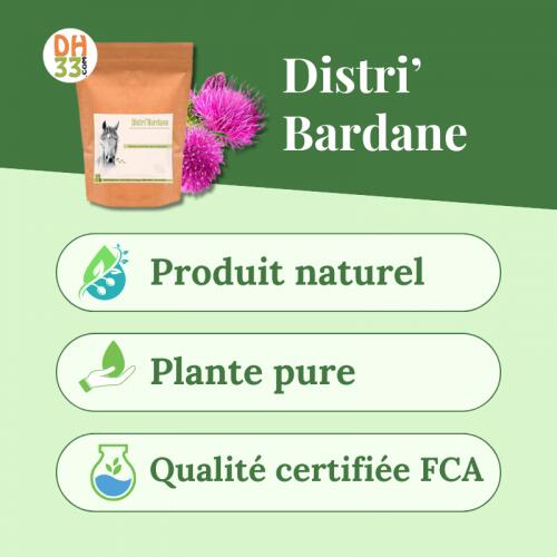 Bardane Cheval - Détoxifiant naturel 2/4