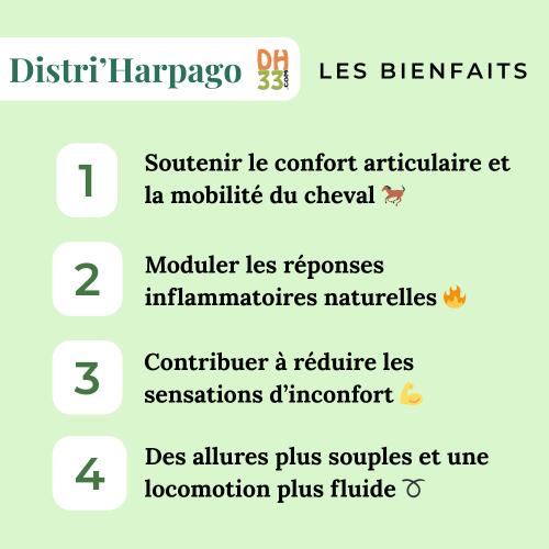 Harpago Cheval - Arthrose cheval 4/4