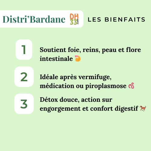 Bardane Cheval - Détoxifiant naturel 4/4