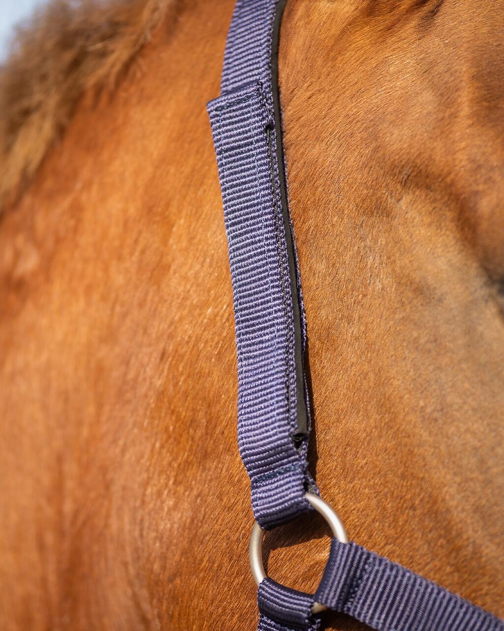 Licol pour cheval de sécurité doublé QHP 4/7