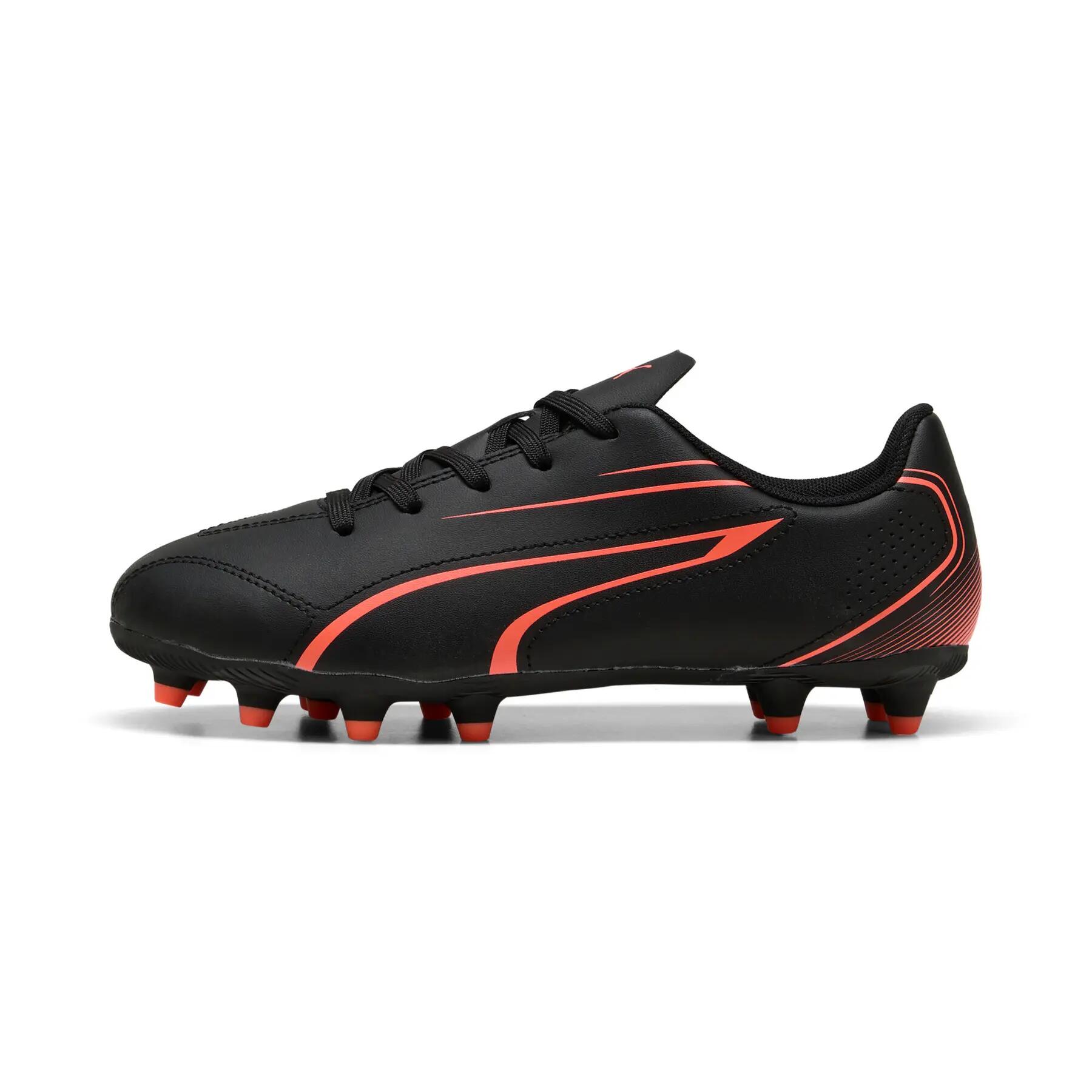 PUMA picture